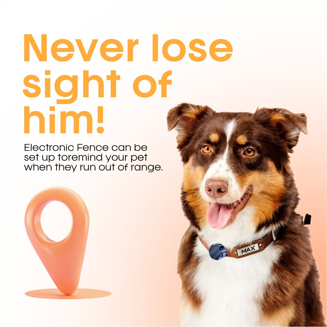 🔥 Mini Magnetic GPS Tracker
